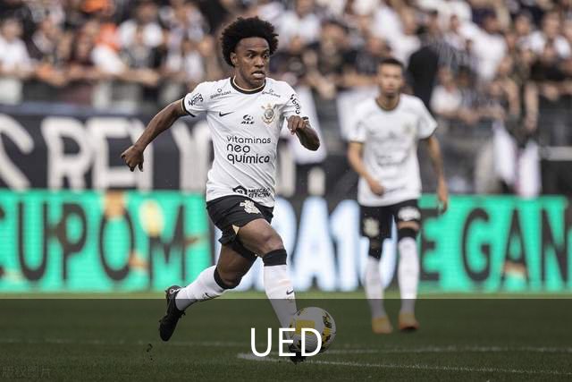 UED公司简介图片